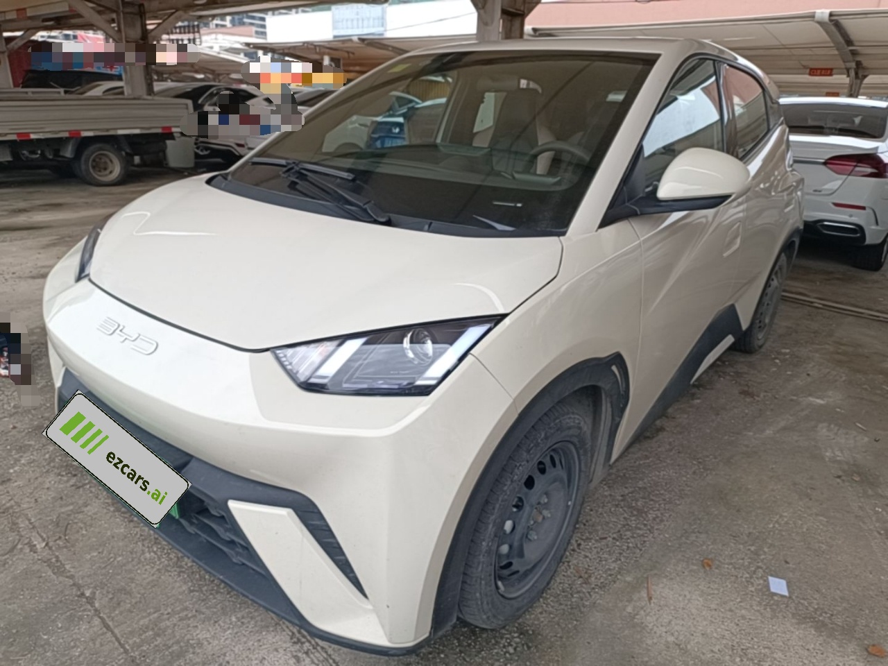 Seagull 2025 305km