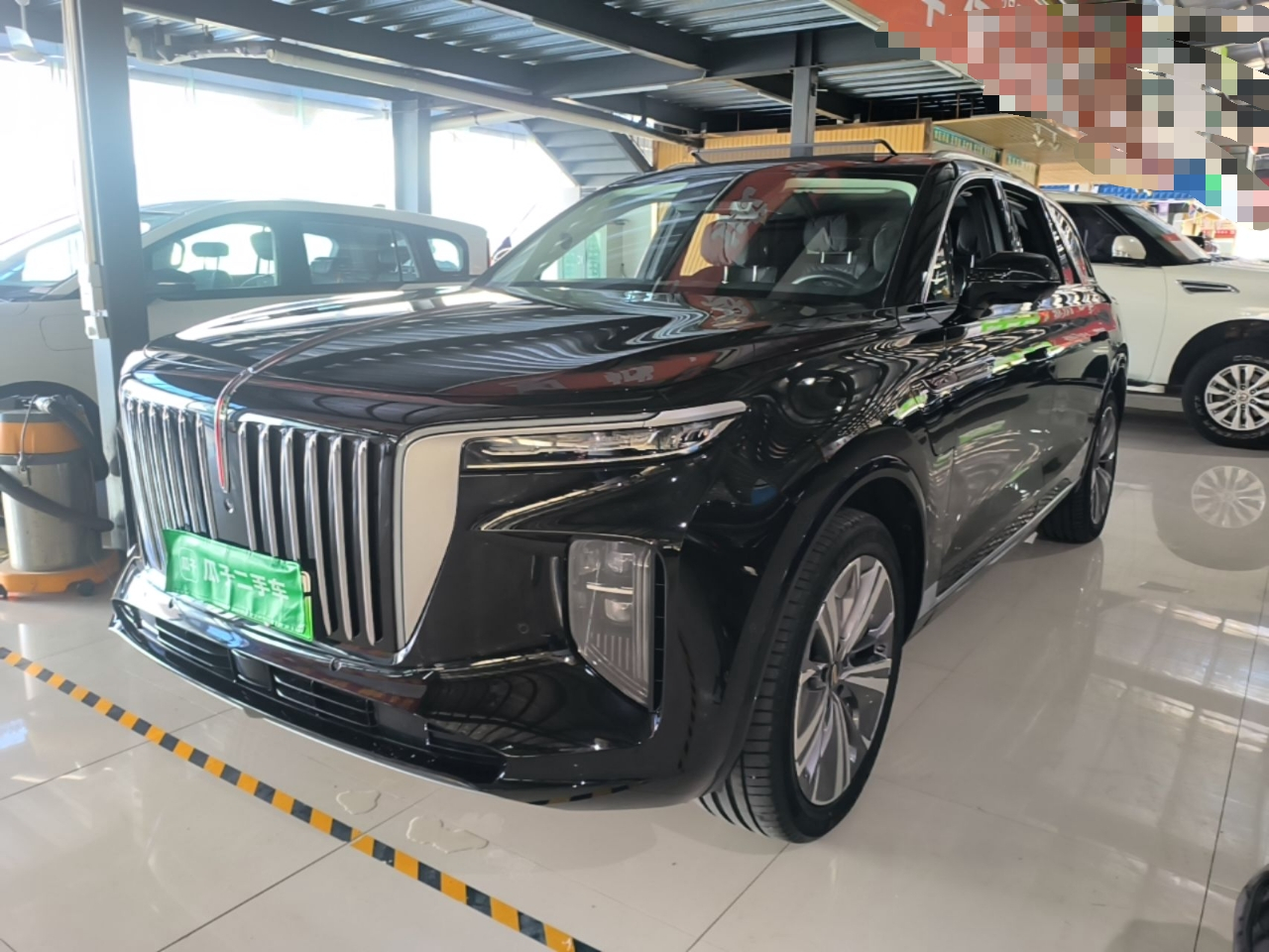 E-HS9 2021 460km 6-Seater