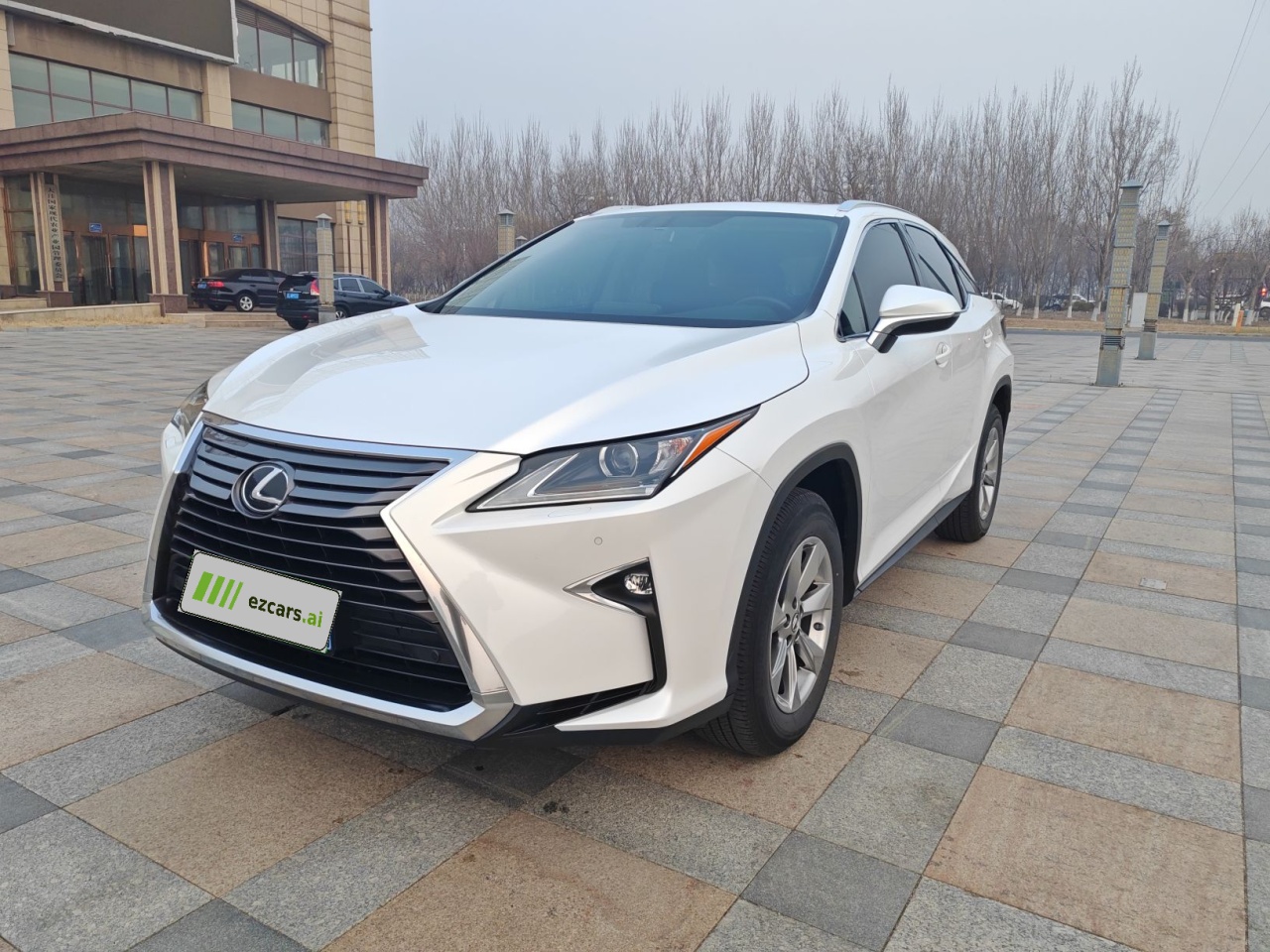 RX 2016 300 RWD Elite China V