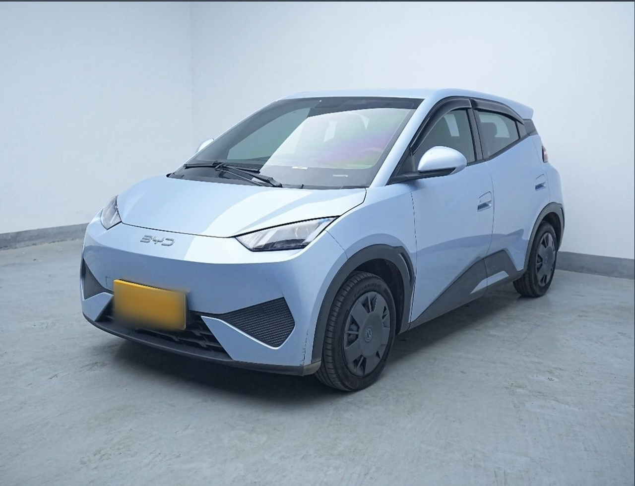 Seagull 2025 ADAS 305km