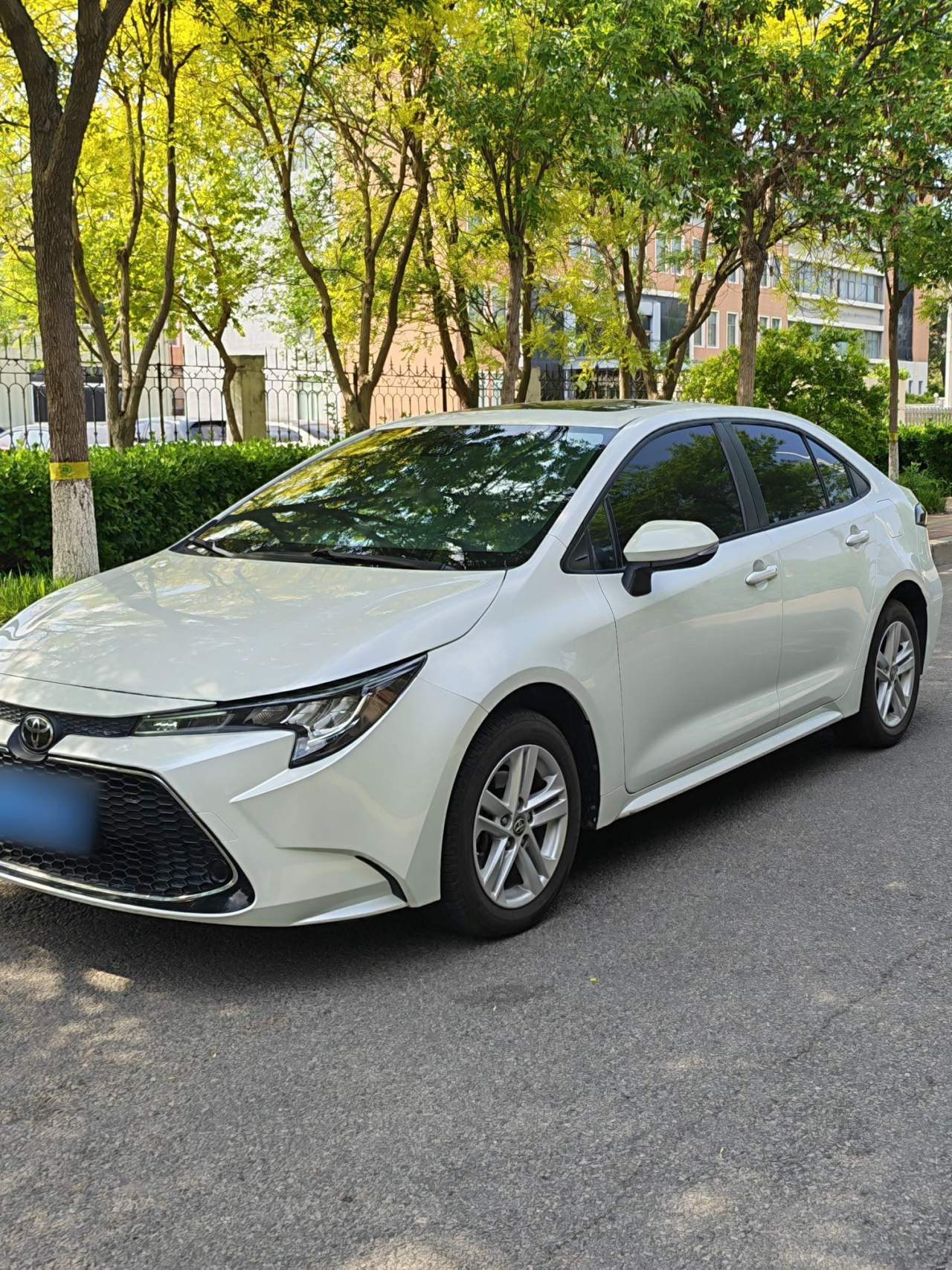 Levin 2019 185T CVT Luxury China VI