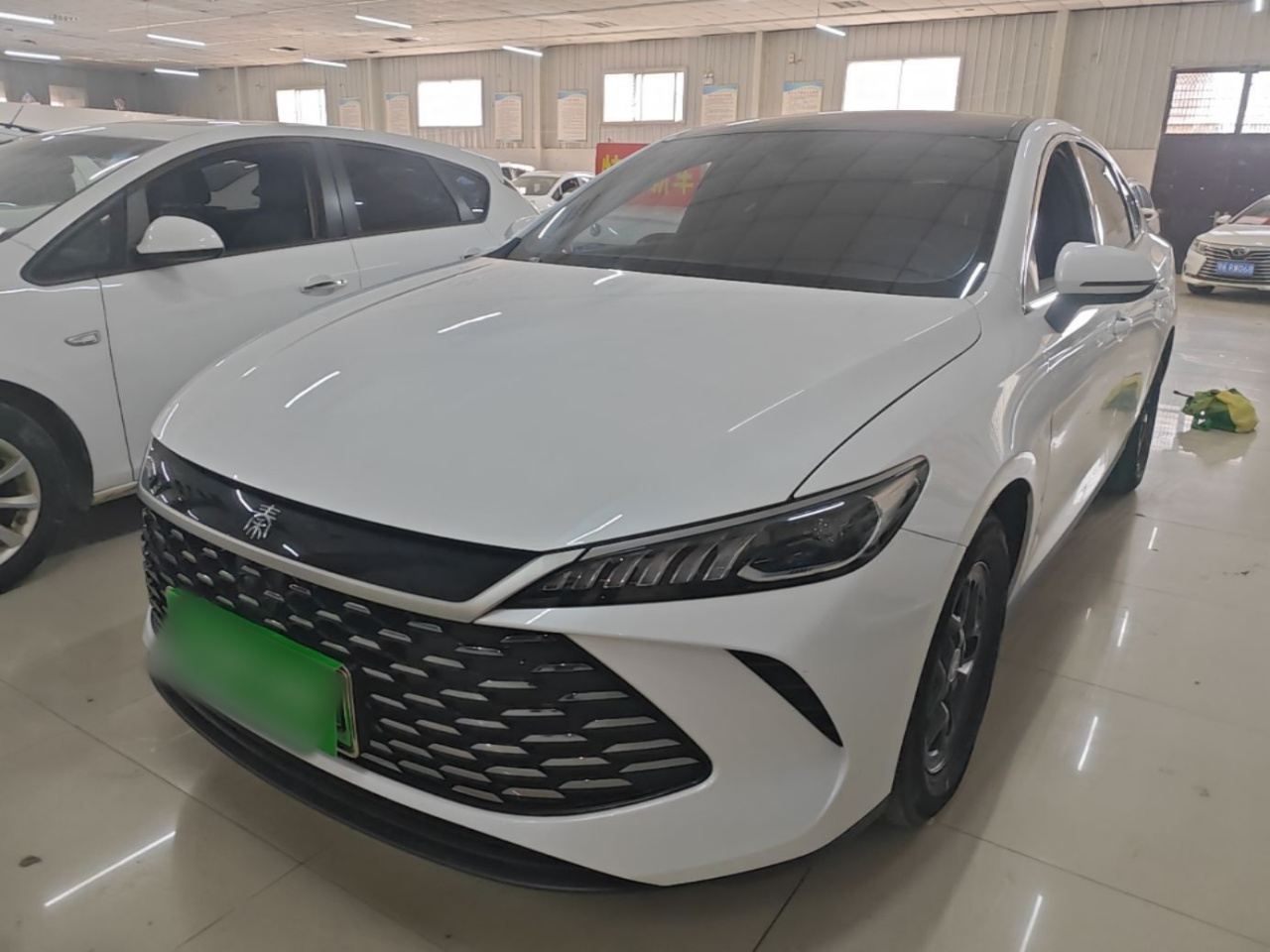 Qin PLUS 2025 DM-i ADAS 55KM Leading