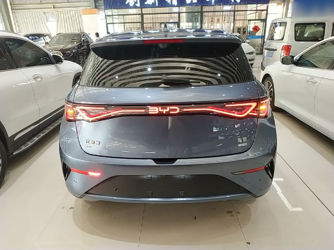 Dolphin 2025 ADAS 410km Fashion photo 3