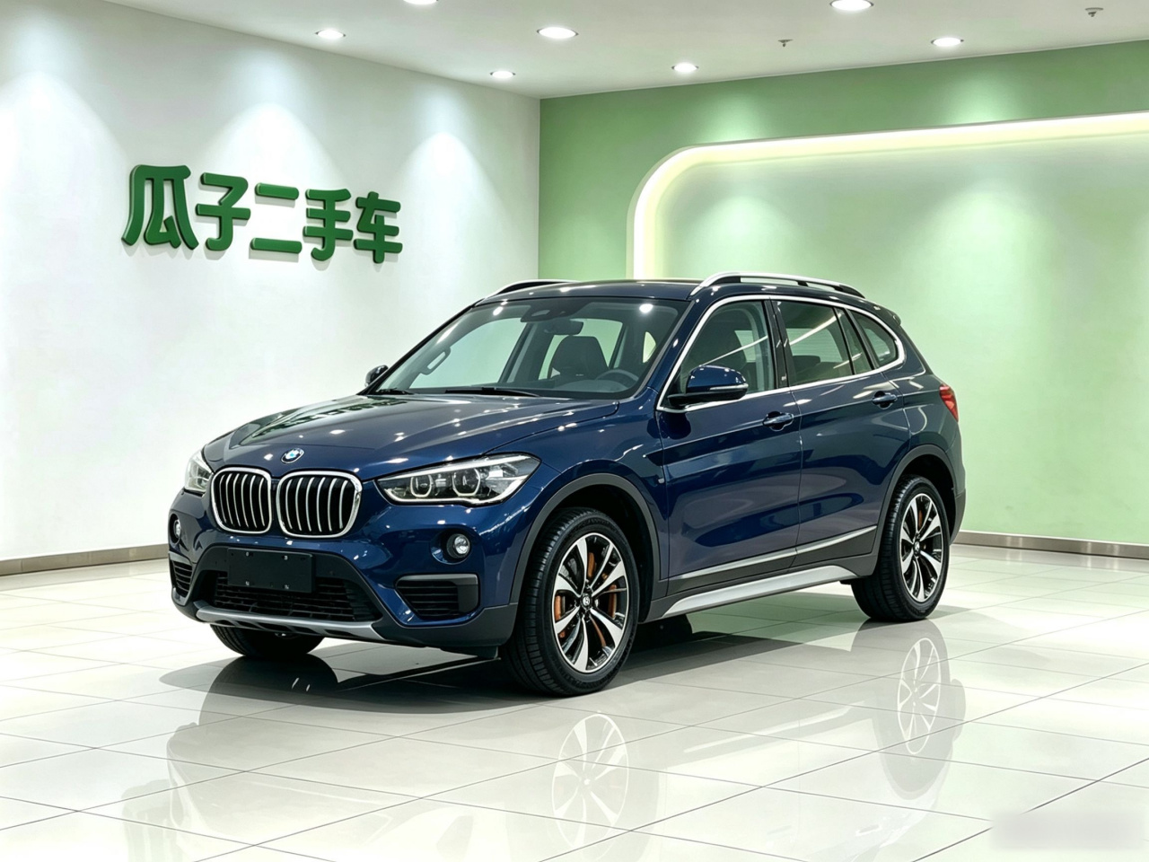 X1 2019 sDrive20Li Leading