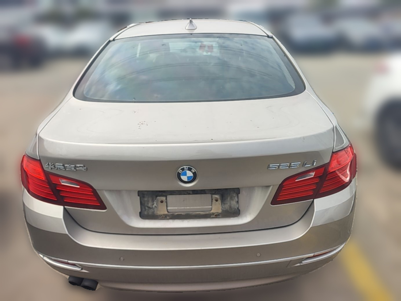 5 Series 2014 525Li Luxury Design Package photo 5