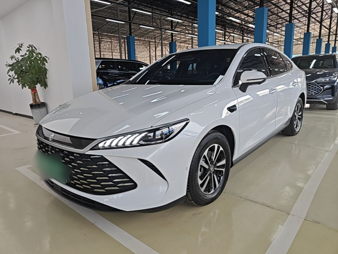 Qin PLUS 2025 DM-i ADAS 55KM