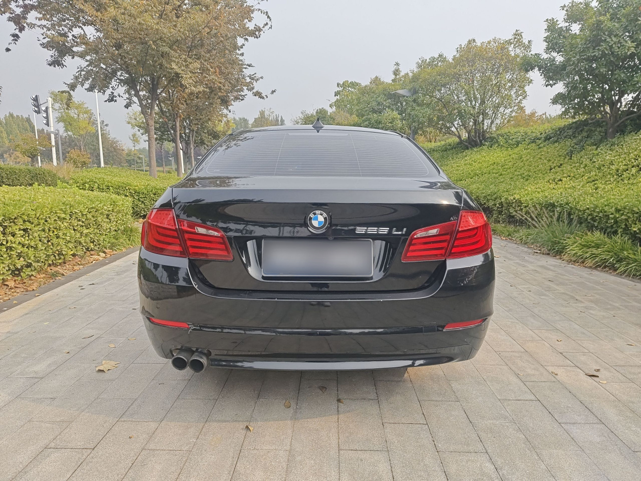 5 Series 2013 525Li Luxury photo 5