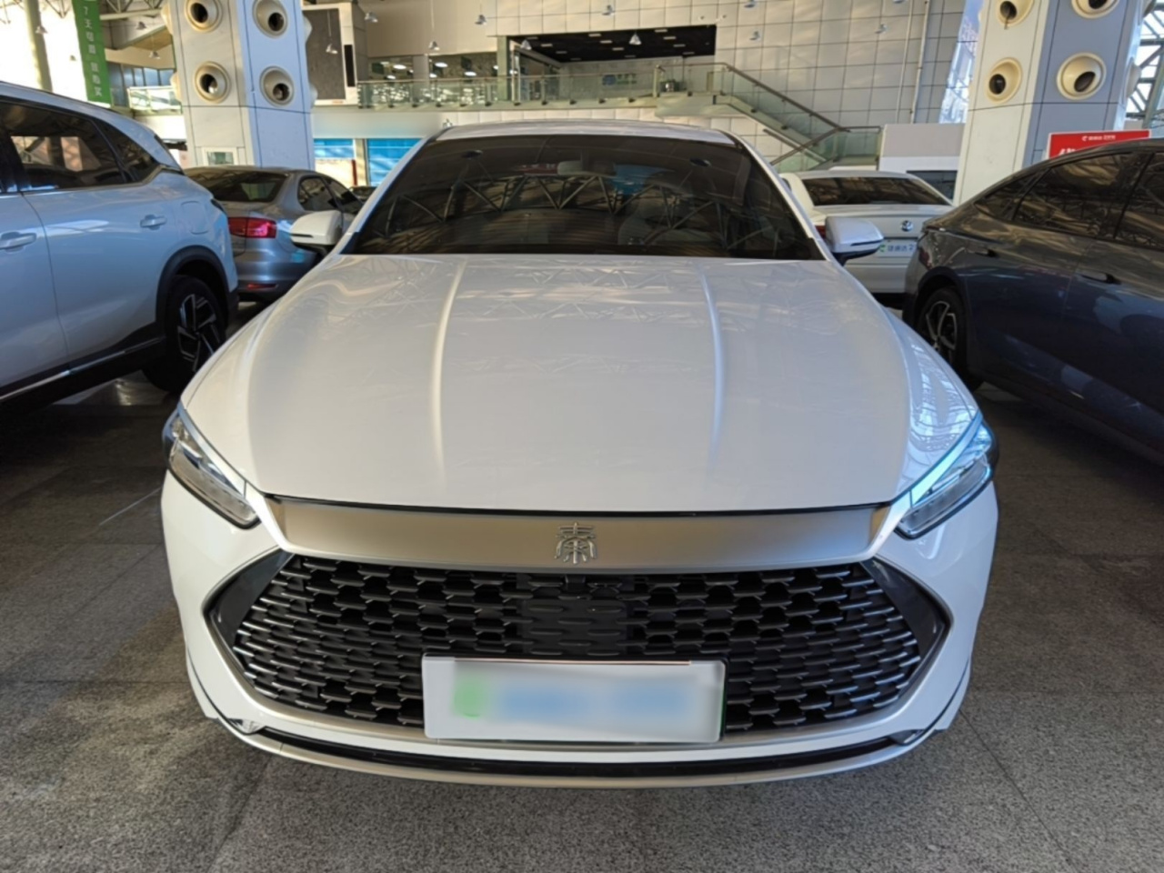 Qin PLUS 2024 Honor DM-i 55KM Leading photo 2