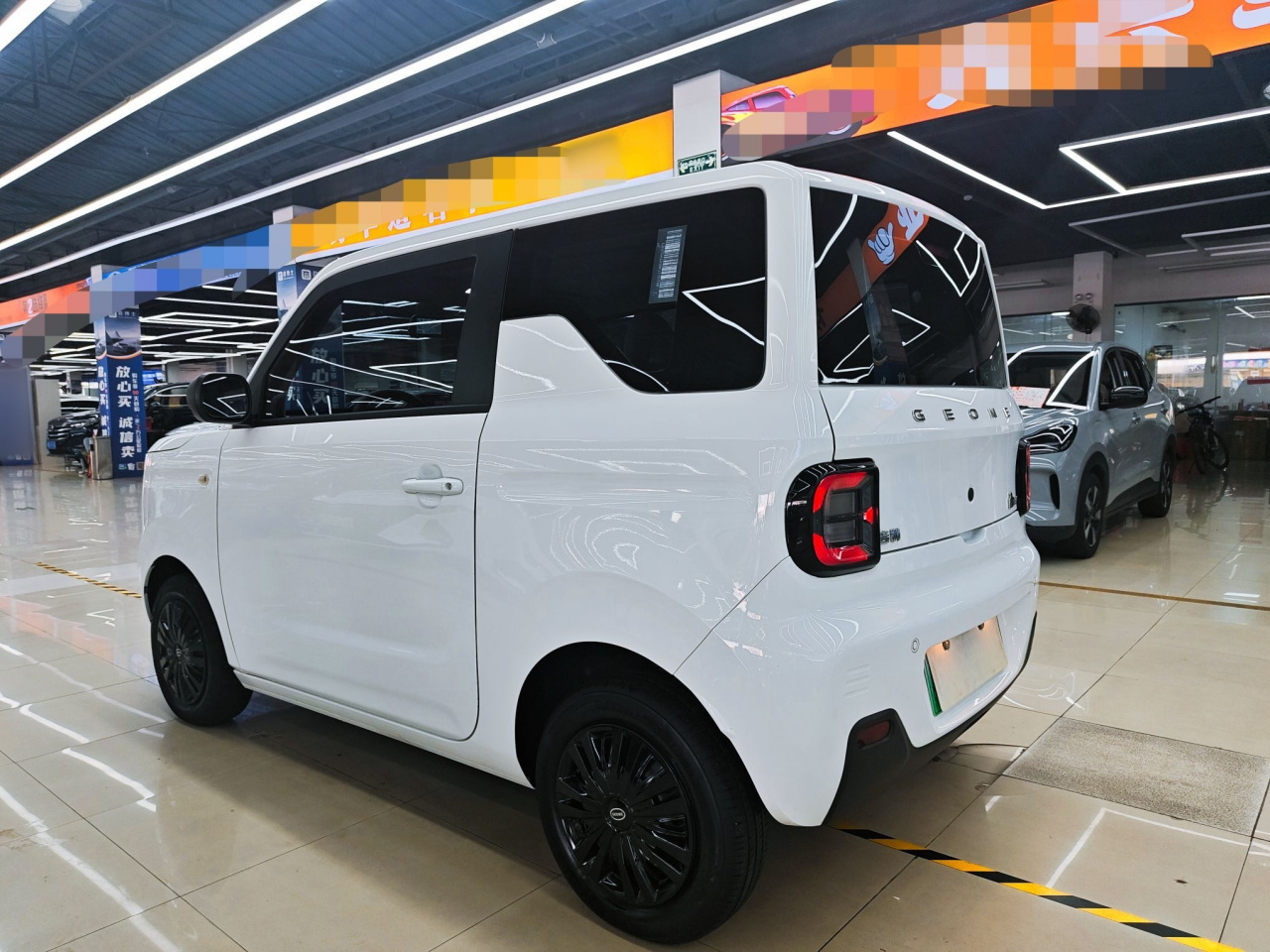 2023 Panda mini 200km Endurance Bear photo 4