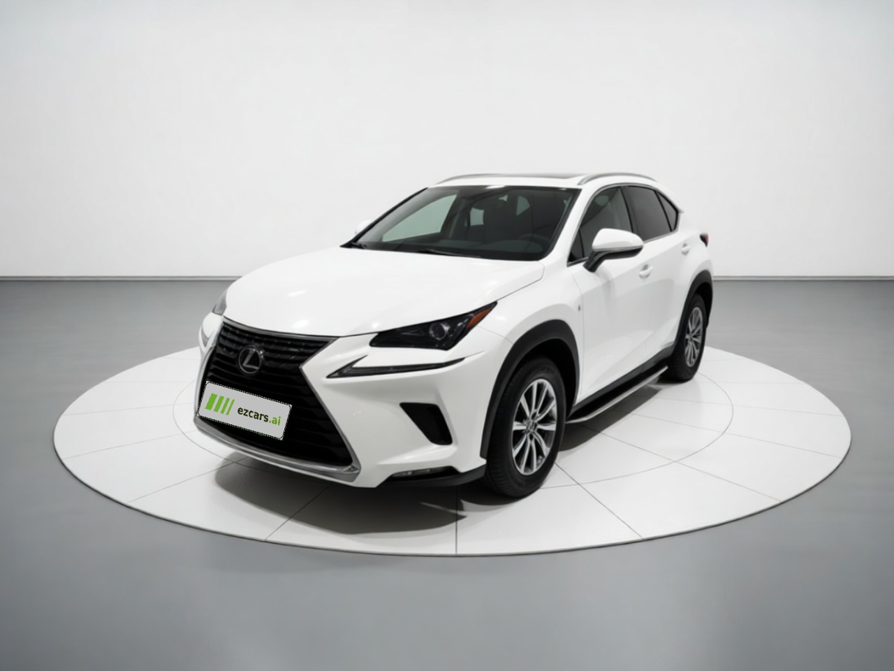 NX 2020 300h FWD China VI