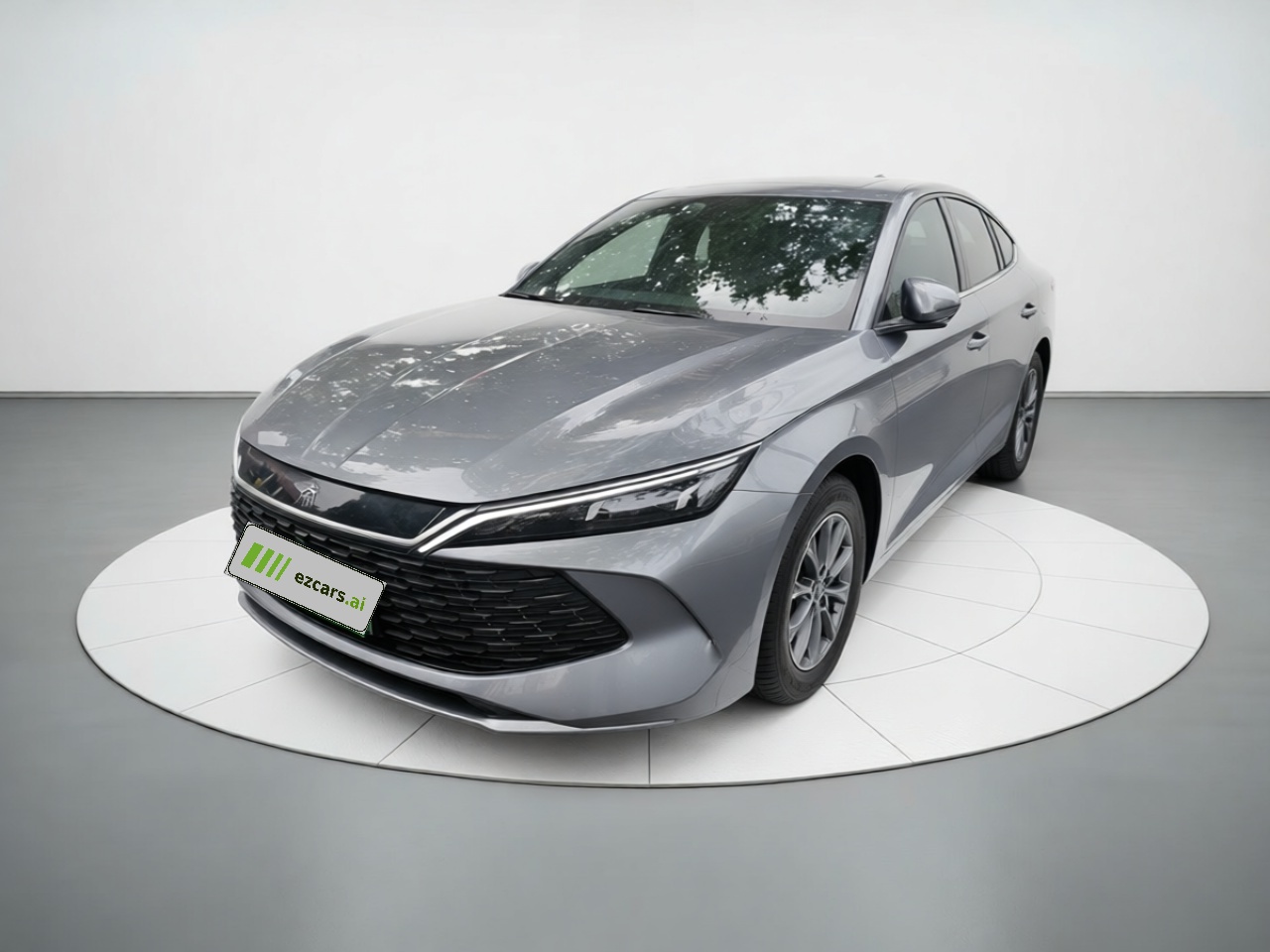 Qin L 2024 DM-i 80KM Leading