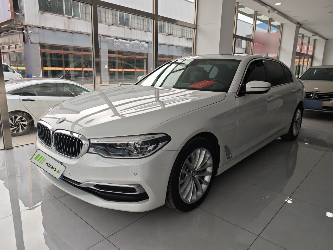 5 Series 2020 530Li Leading Luxury