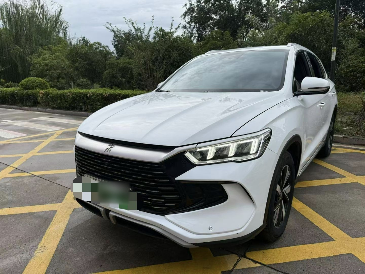 Song Pro EV 2024 Honor DM-i 110KM