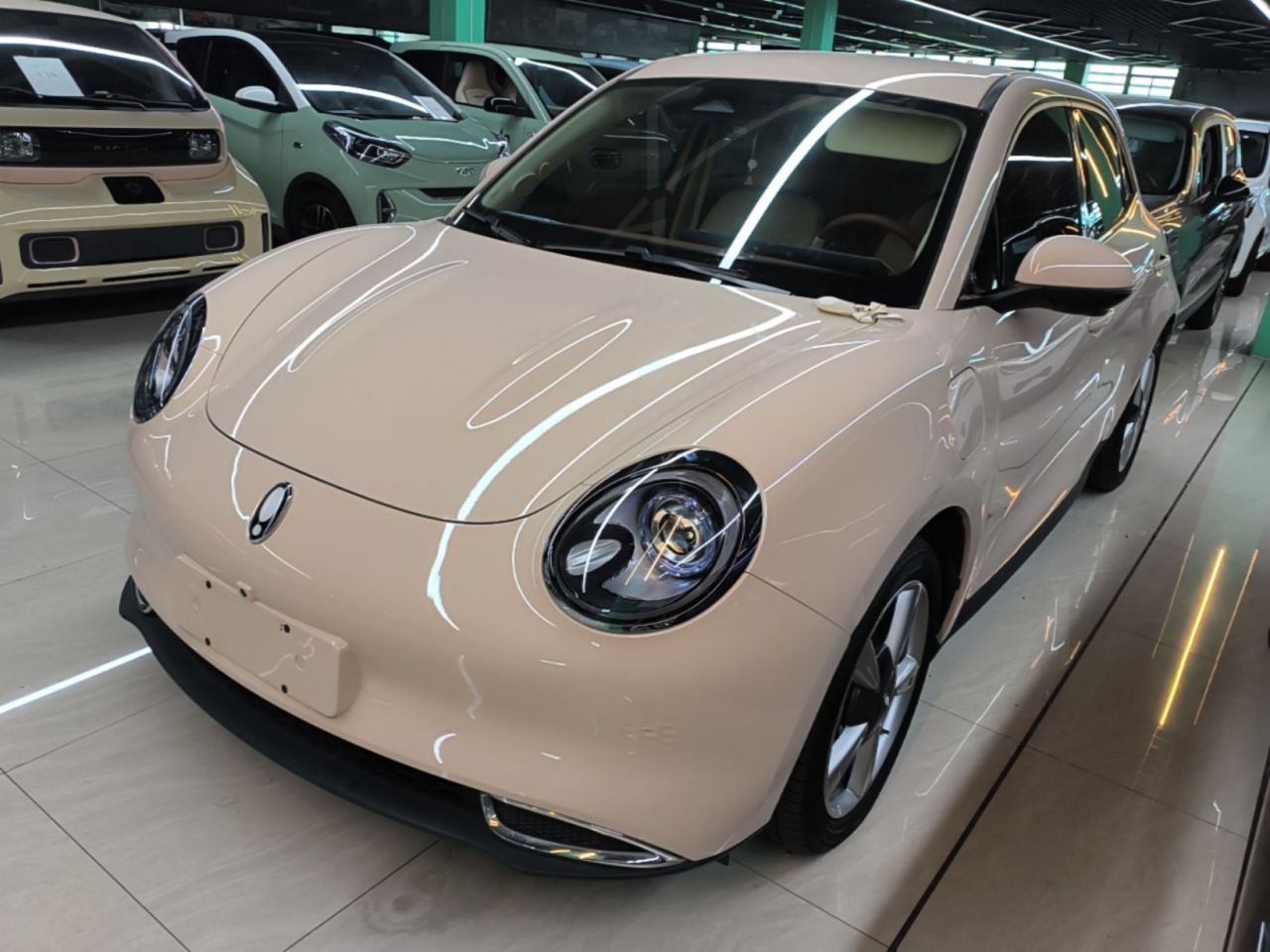 Good Cat 2023 401km Standard Range Luxury LFP