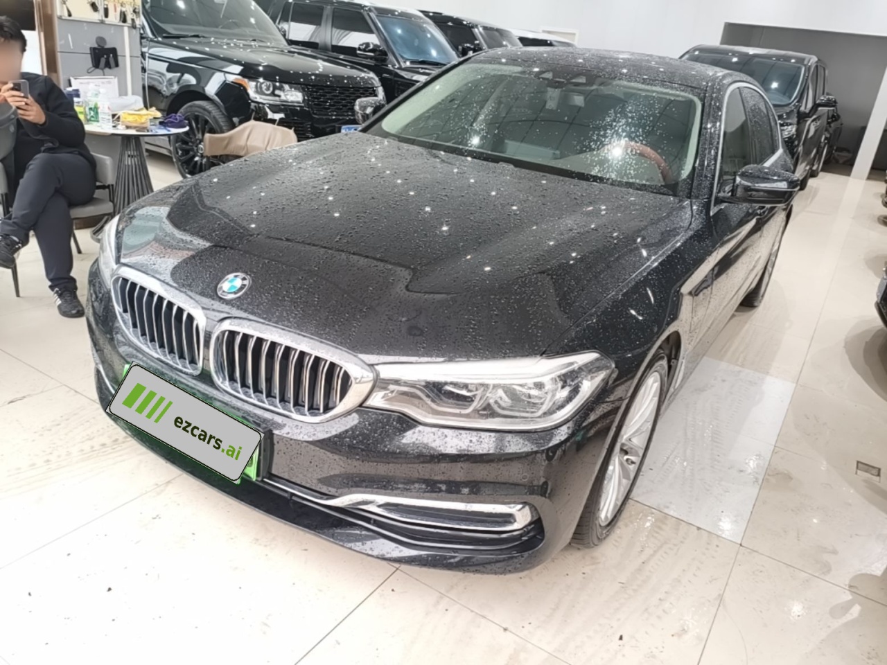 5 Series EV 2020 530Le
