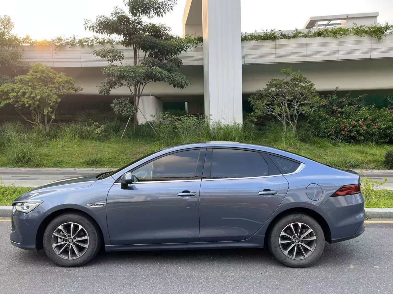Qin PLUS 2024 Honor DM-i 55KM Leading photo 4