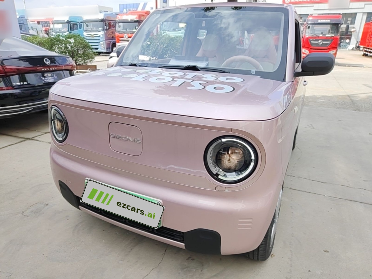 2024 Panda mini 200km Endurance Bear