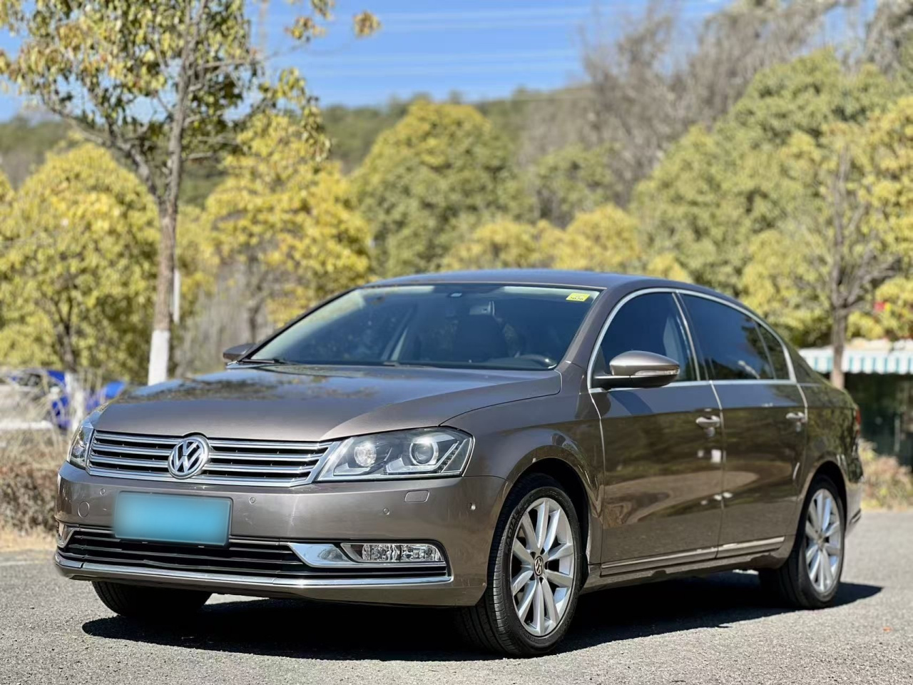 Magotan 2013 2.0TSI Premium photo 2