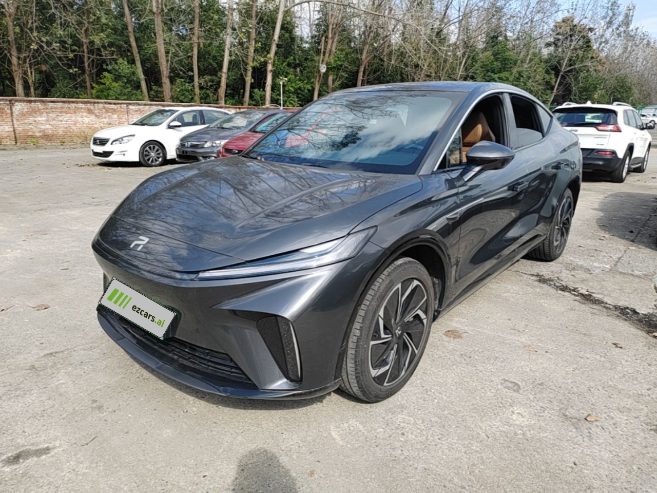 Rising Auto Rising Auto R7 2023
