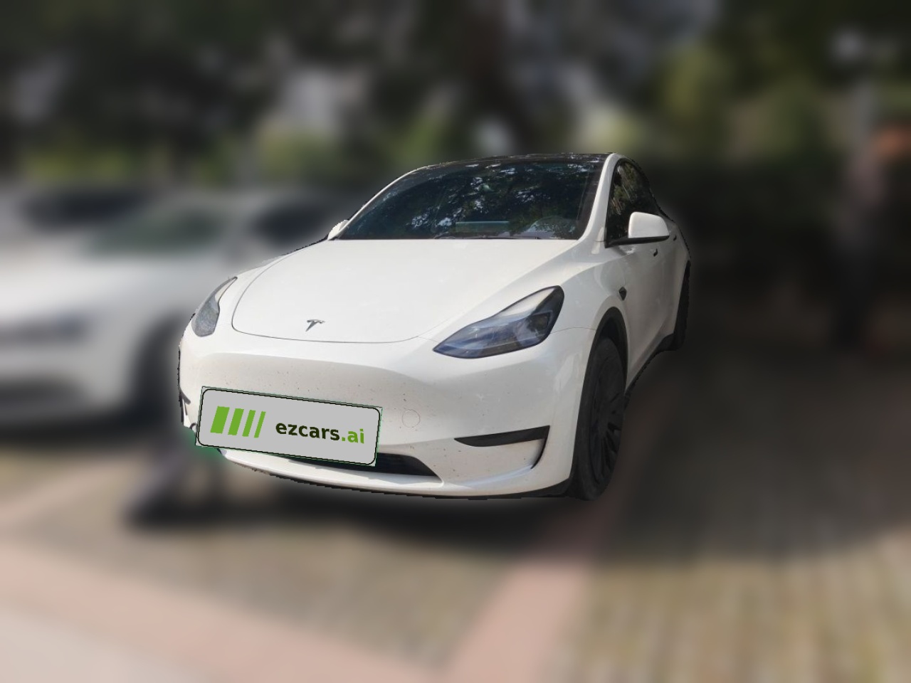 Model Y 2024 RWD