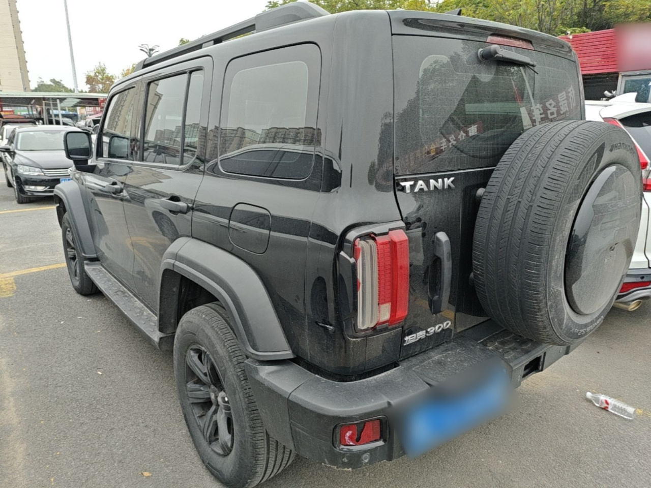 300 2023 Off-road 2.0T Conqueror photo 4