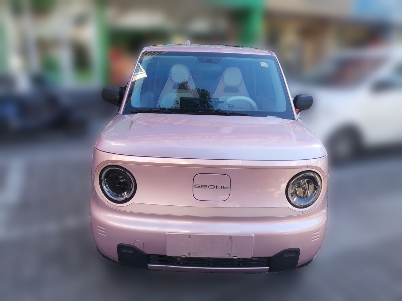 2023 Panda mini 200km Endurance Bear photo 2