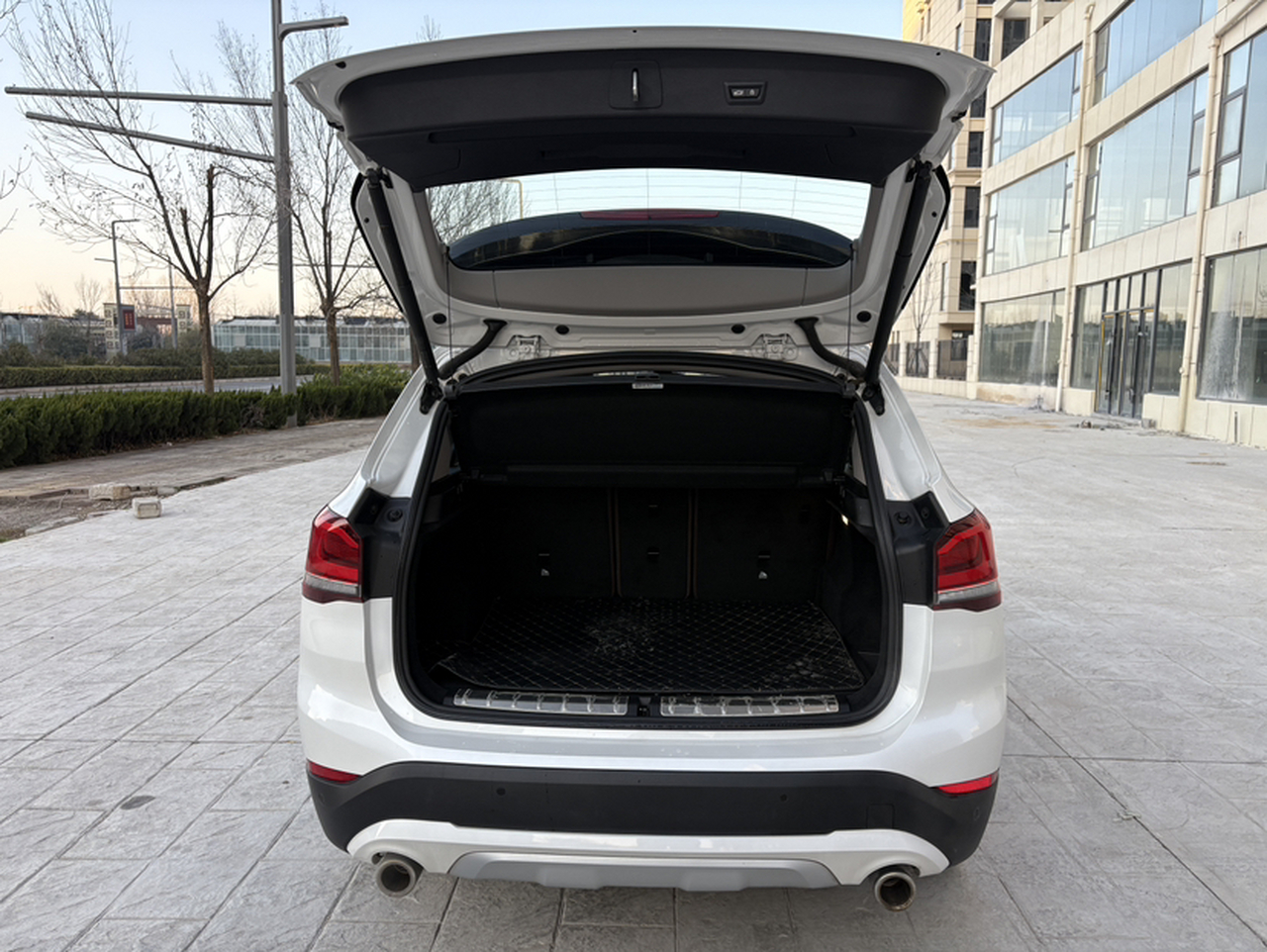 X1 2021 xDrive25Li Exclusive photo 4