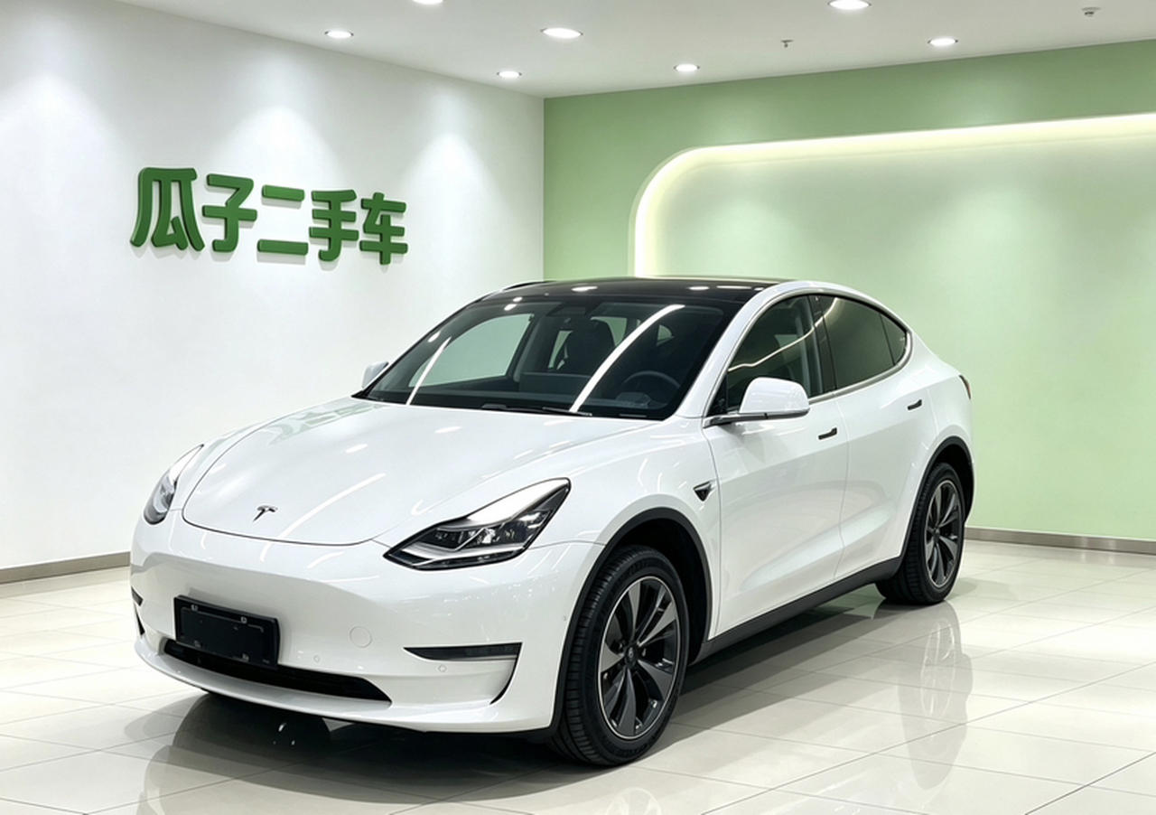 Model 3 Imported 2019 Long Range RWD