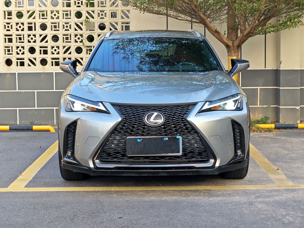 UX 2020 200 F SPORT photo 3