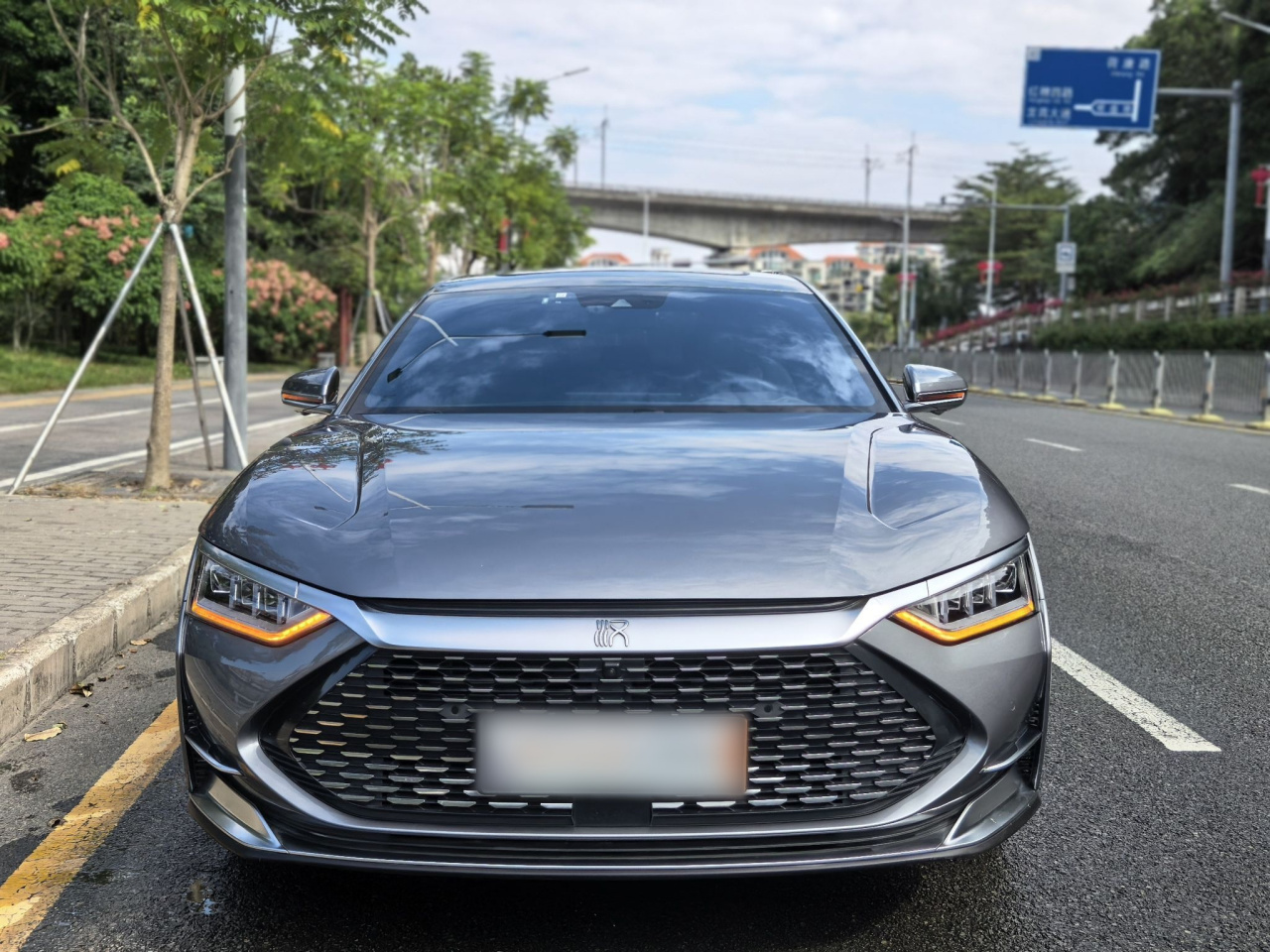 Han 2020 DM AWD Performance Luxury photo 2
