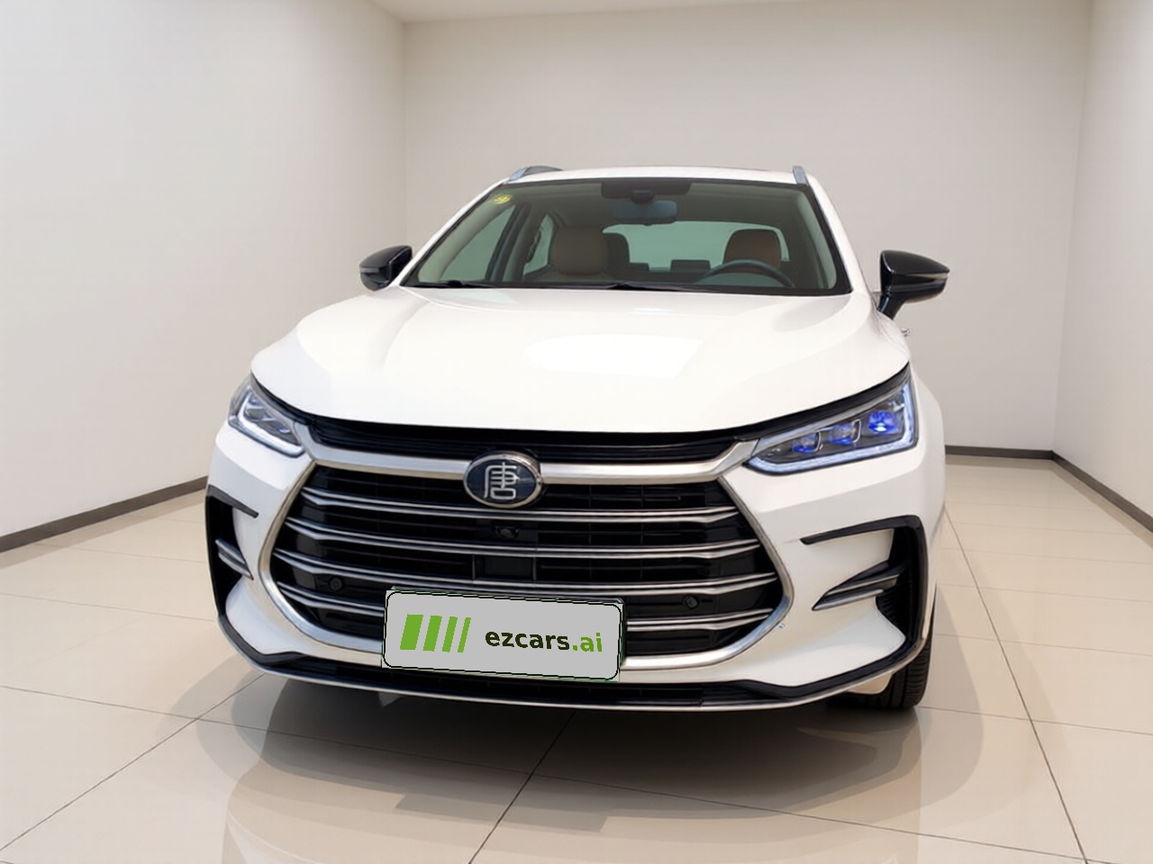 Tang EV 2021 DM 2.0T AWD Performance Premium
