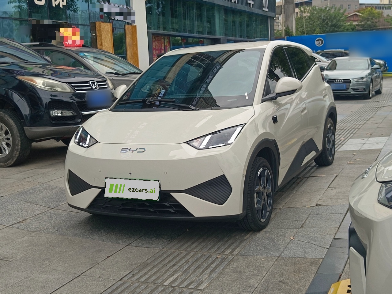 Seagull 2025 ADAS 305km