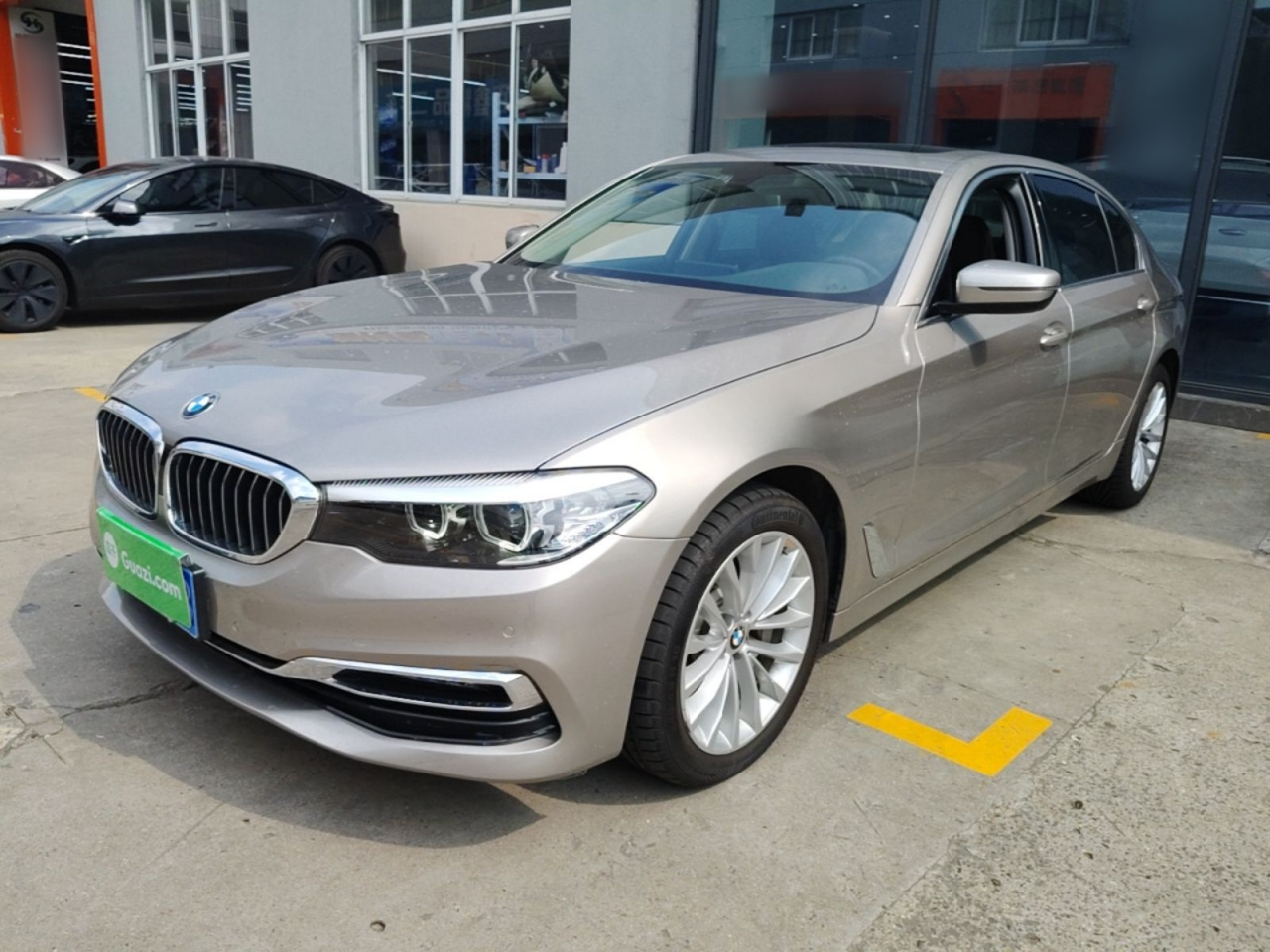 5 Series 2019 530Li Leading Luxury