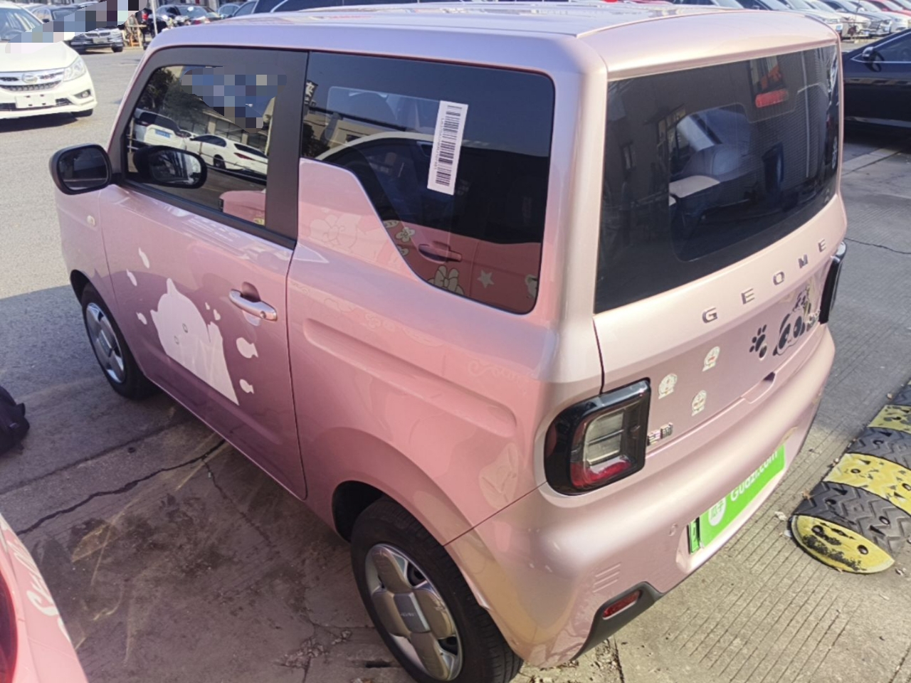 2023 Panda mini 200km Endurance Bear photo 4