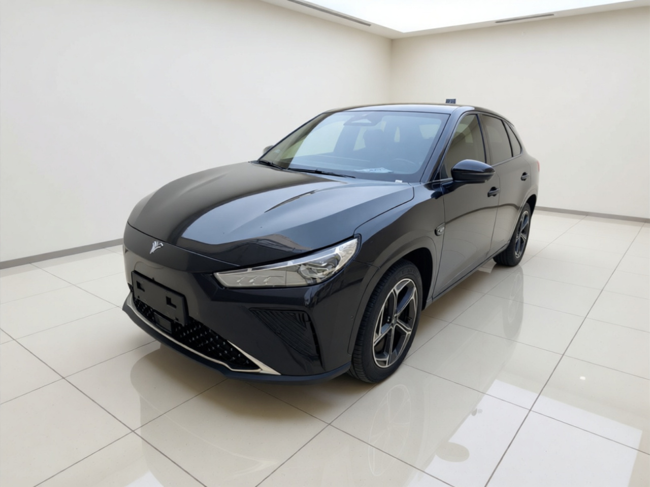 Neta L 2024 EREV 310
