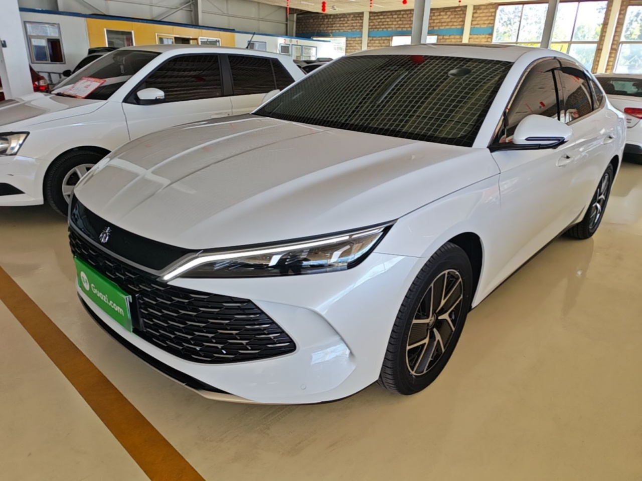 Qin L 2024 DM-i 120KM