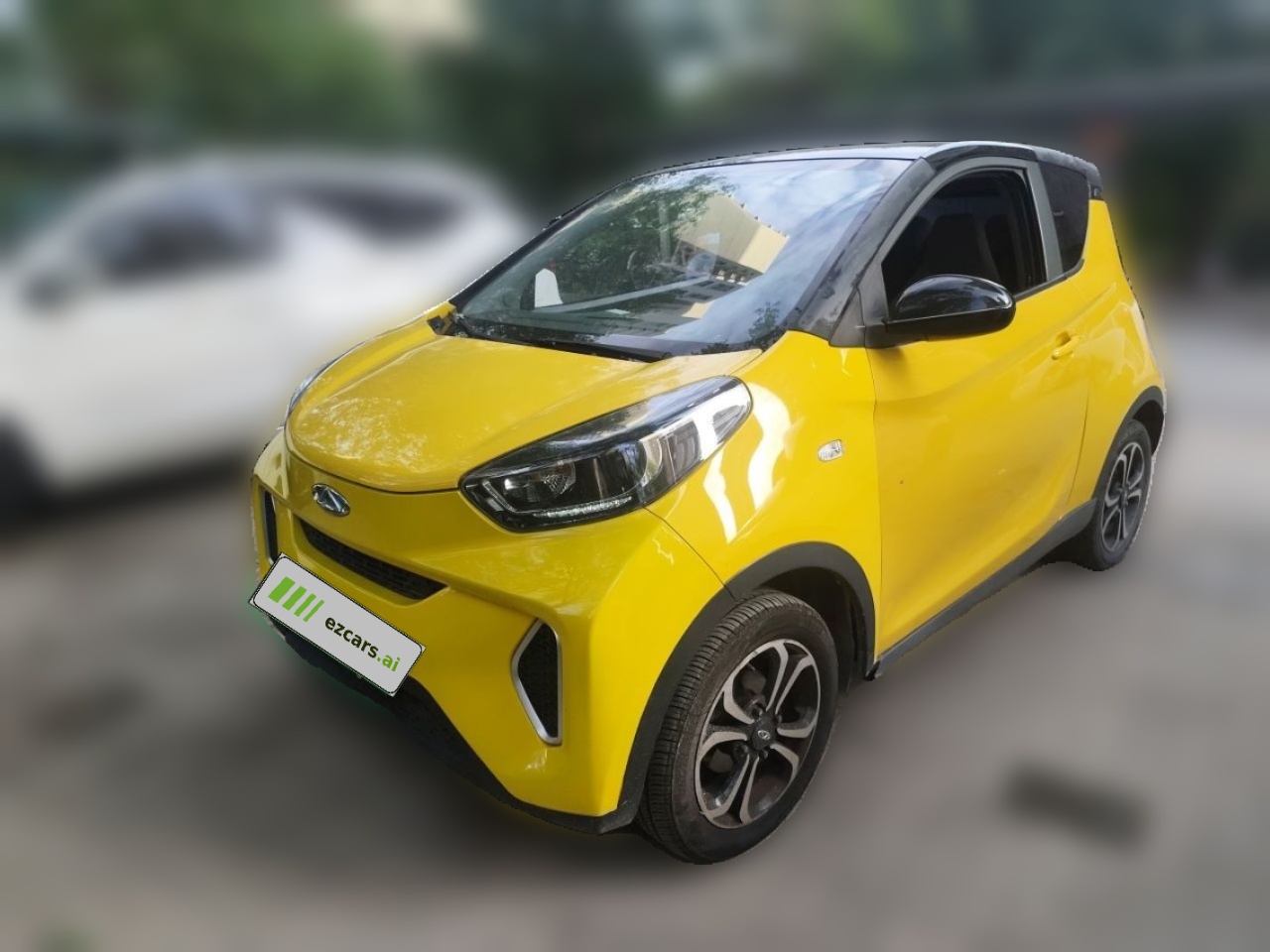QQ Little Ant 2021 15 NCM