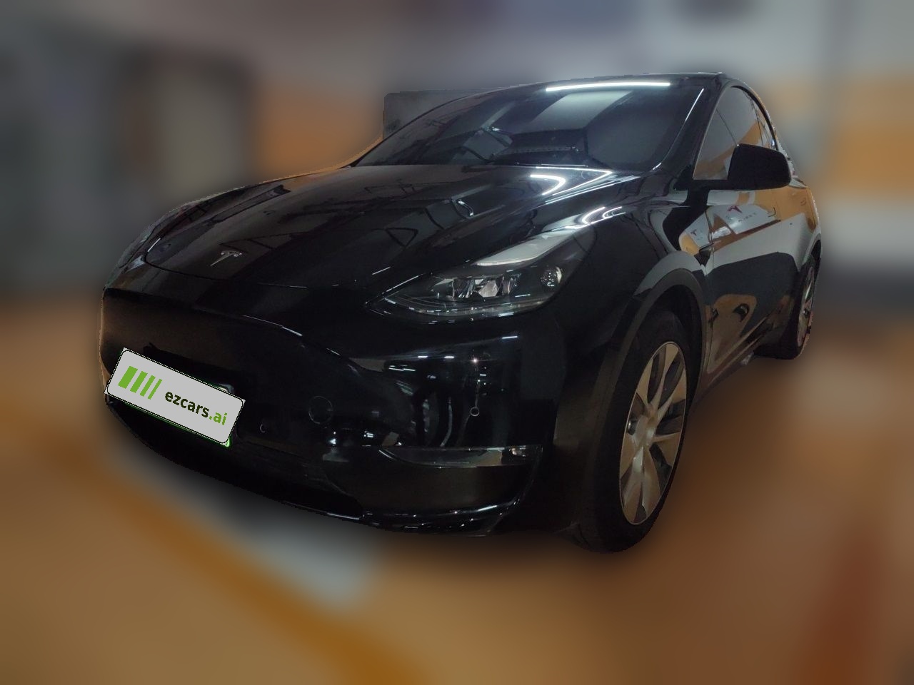 Model Y 2021 Standard Range RWD
