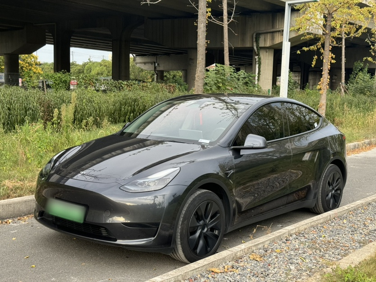 Model Y 2024 RWD