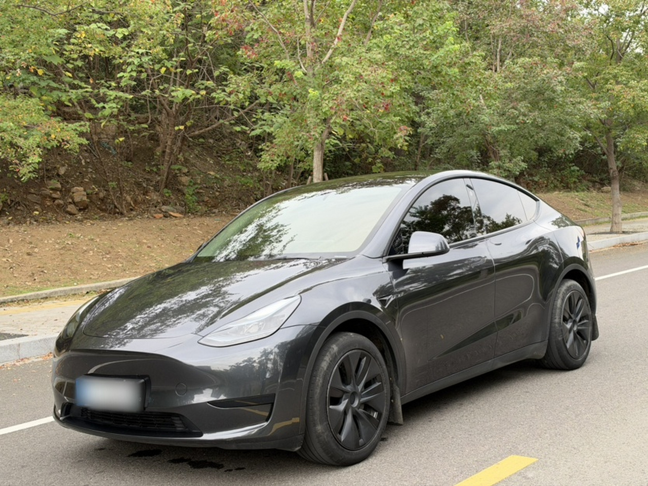 Model Y 2024 RWD