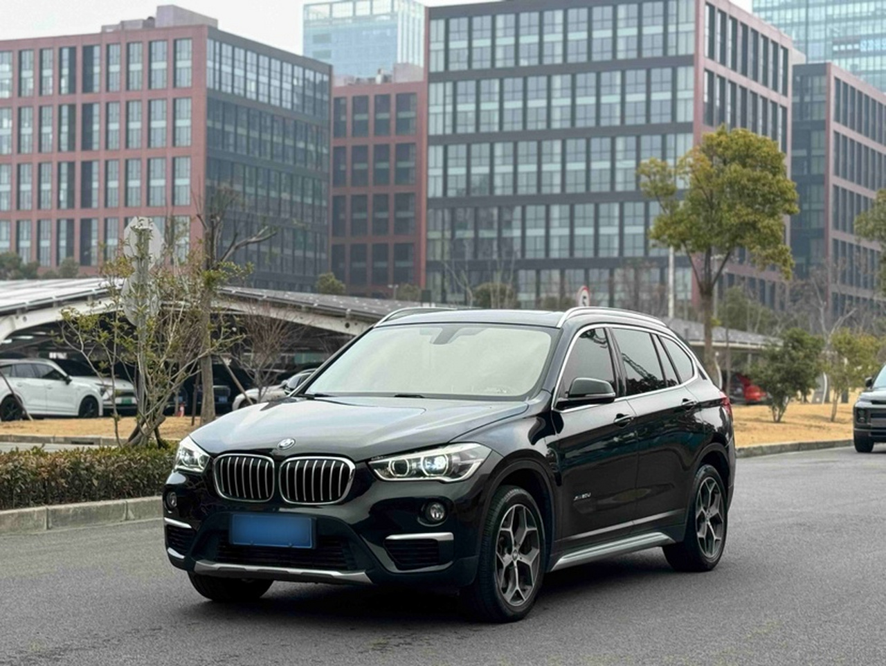 X1 2018 xDrive20Li Exclusive
