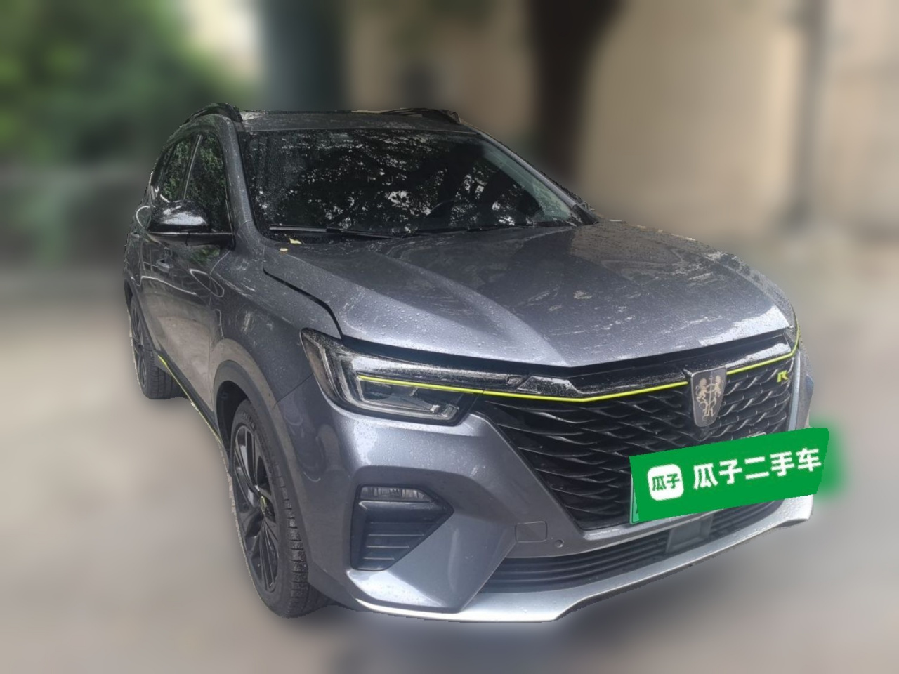 RX5 EV 2020 ePLUS Flagship photo 3