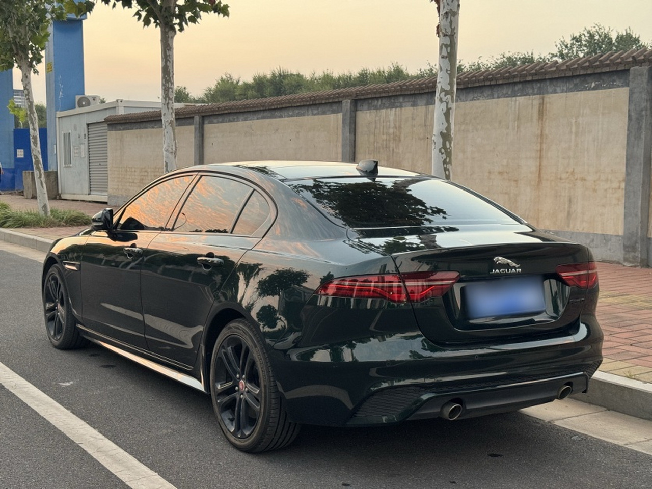 XEL 2022 2.0T 250PS R-DYNAMIC S Progressive Sport photo 3