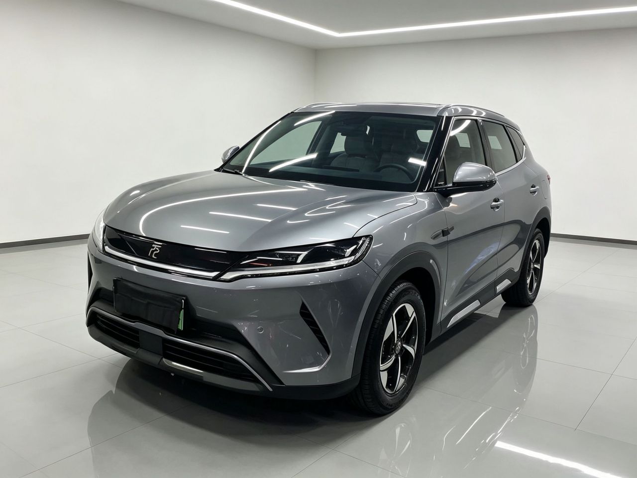 Yuan UP 2025 ADAS 401KM Leading