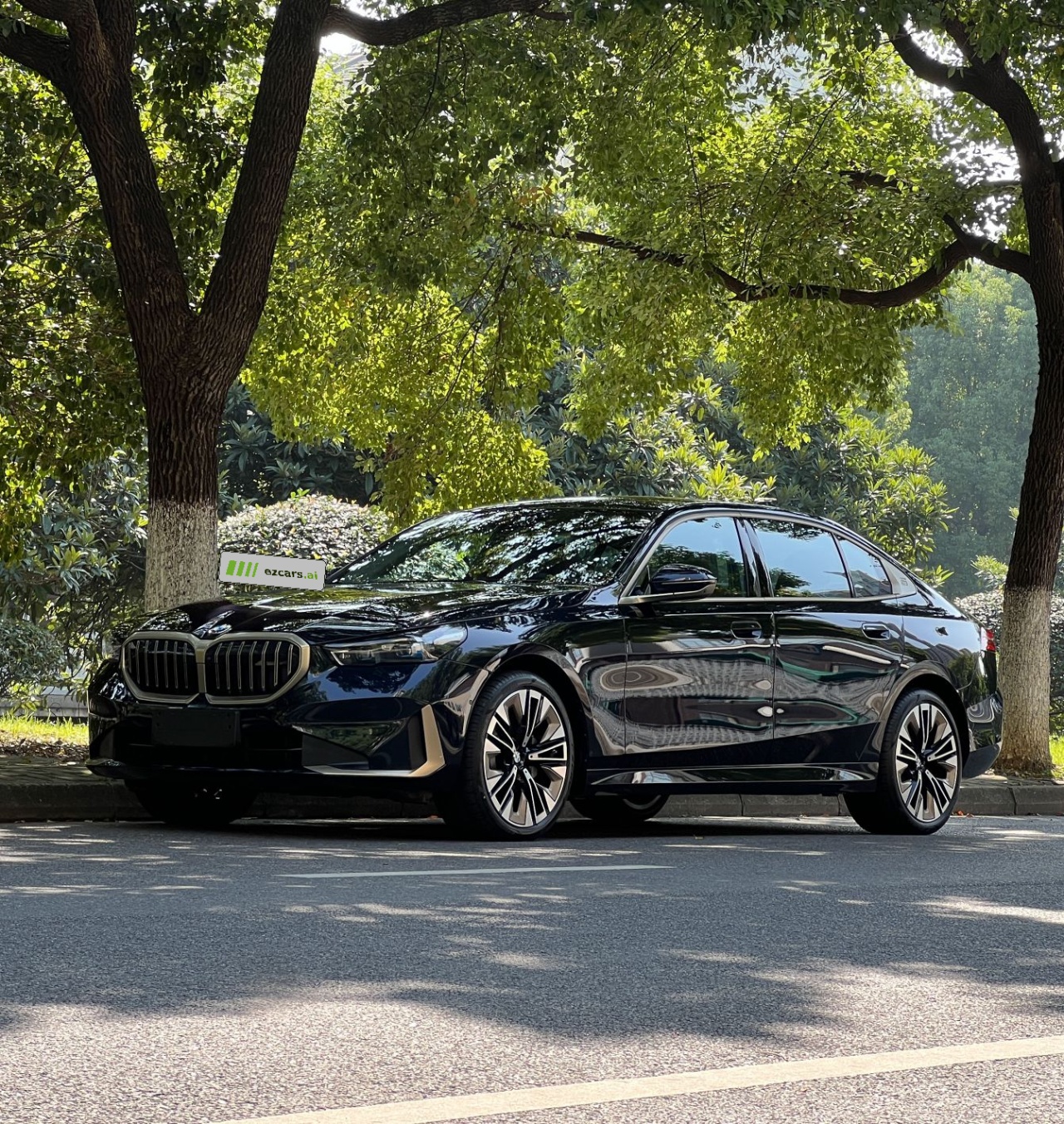 5 Series 2024 530Li Exclusive Luxury