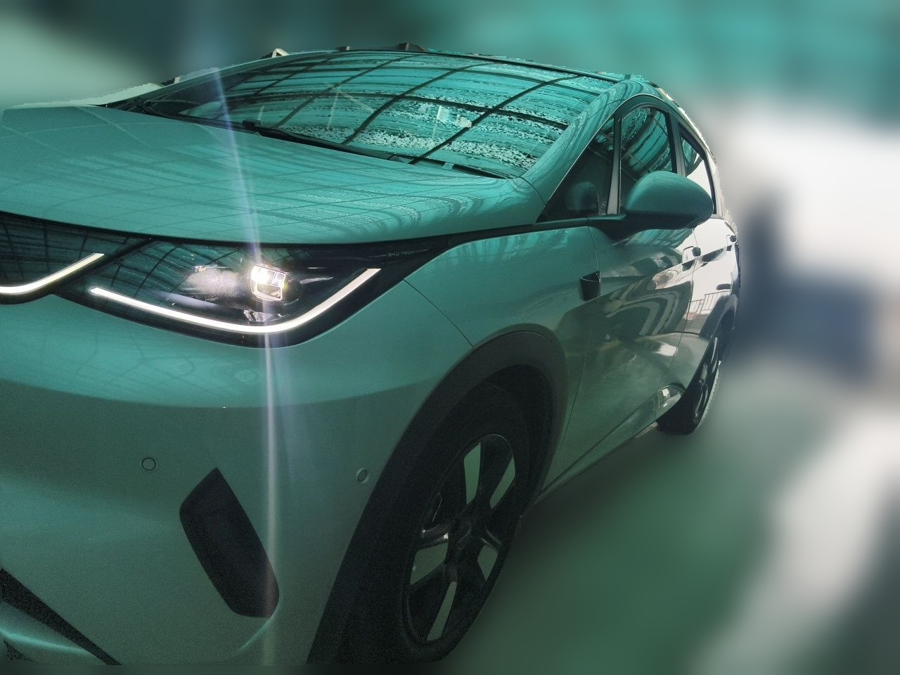 Dolphin 2025 ADAS 410km Fashion