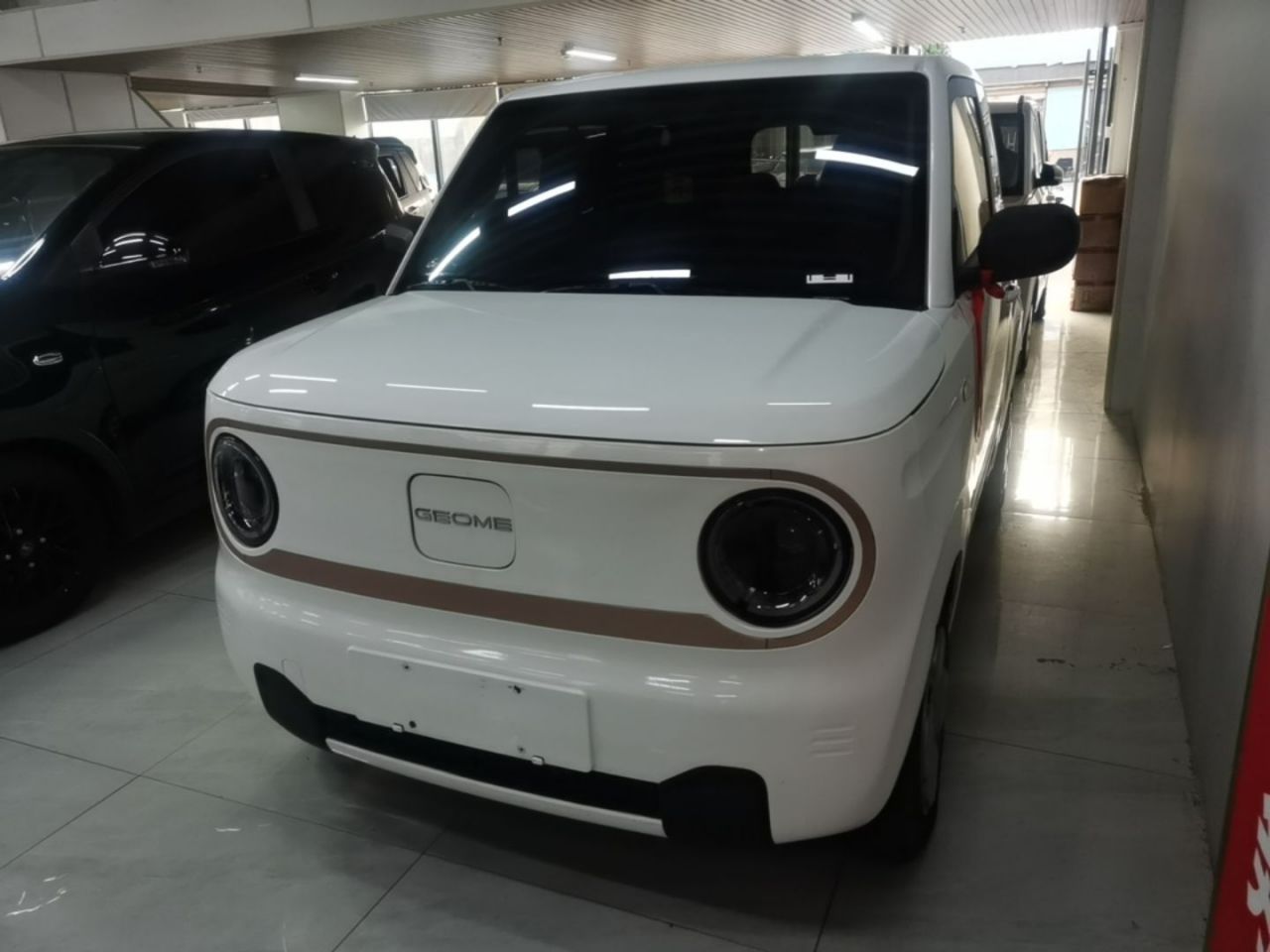 2024 Panda mini 200km Endurance Bear