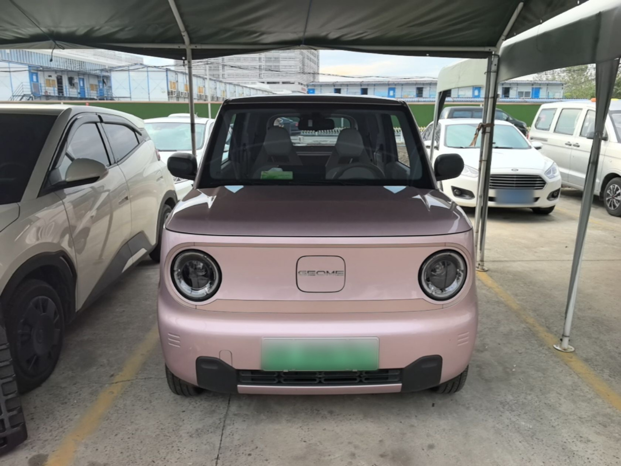 2024 Panda mini 200km Endurance Bear photo 2