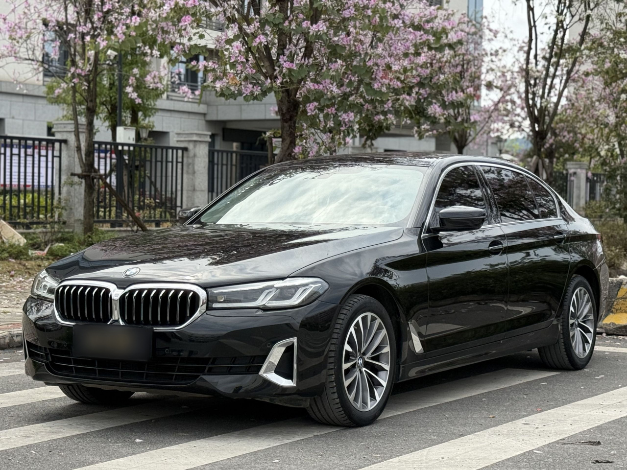 5 Series 2021 525Li Luxury
