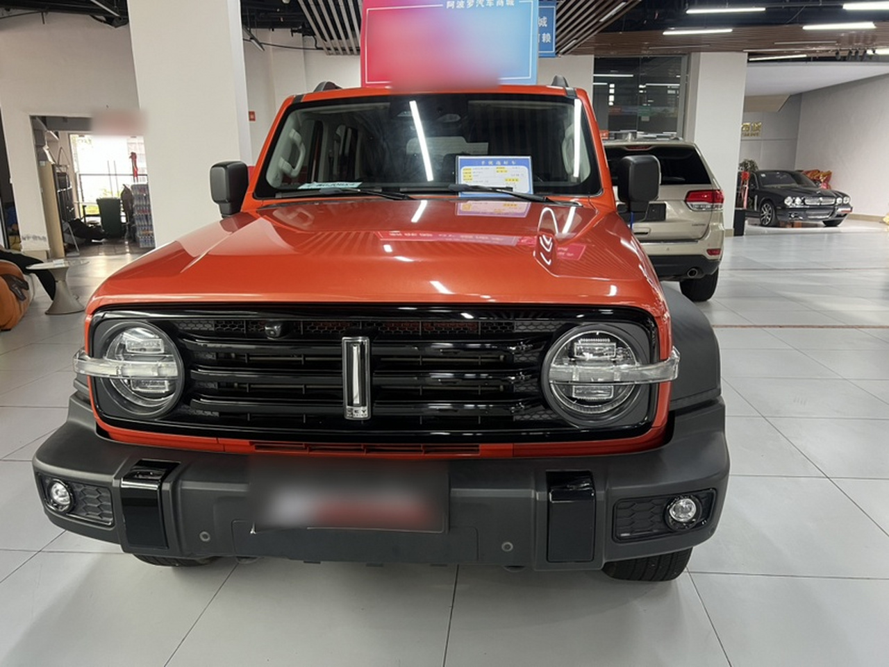 300 2021 Off-road 2.0T Conqueror photo 3